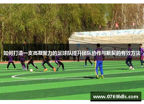 如何打造一支高凝聚力的足球队提升团队协作与默契的有效方法